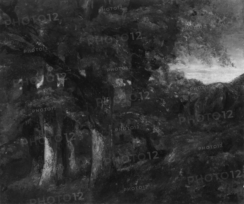 Wooded Landscape, 1819/77. Creator: Gustave Courbet.