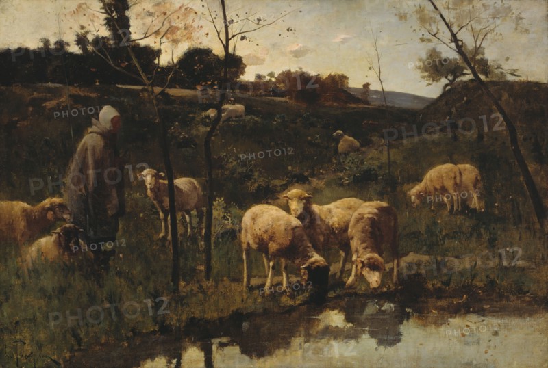 Landscape with Sheep, Picardy, late 19th century. Creator: Harry Thompson.