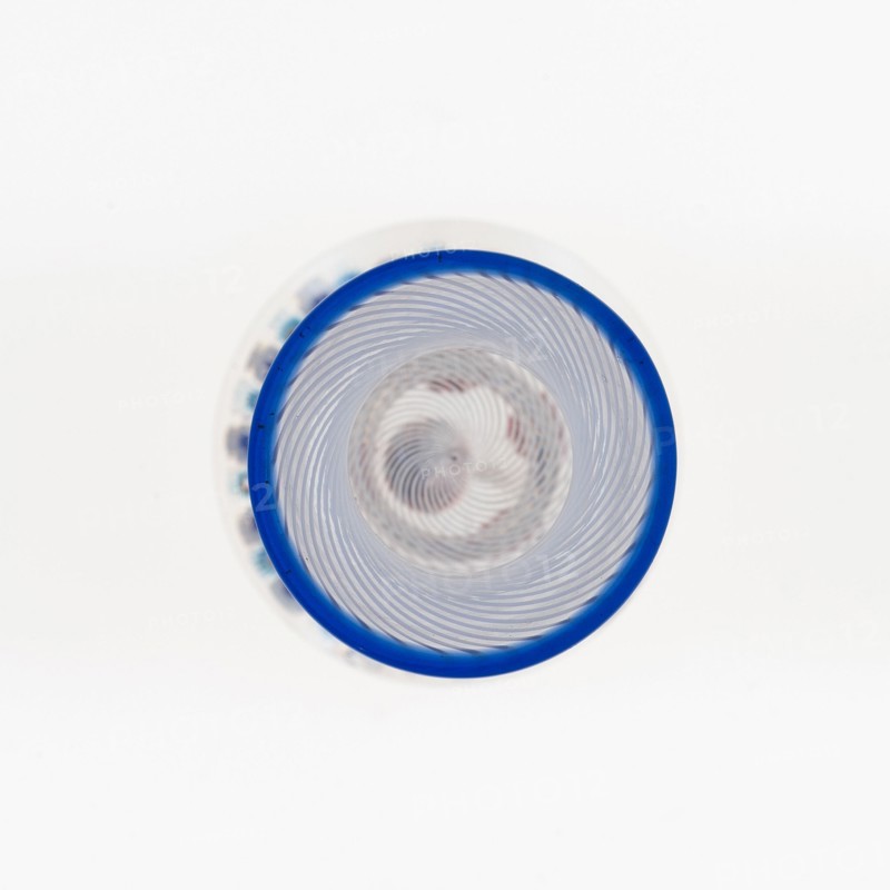 Paperweight, France, c. 1845-60. Creator: Saint-Louis Glassworks.