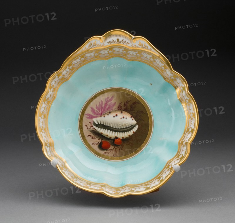 Plate, Worcester, 1813/19. Creator: Royal Worcester.