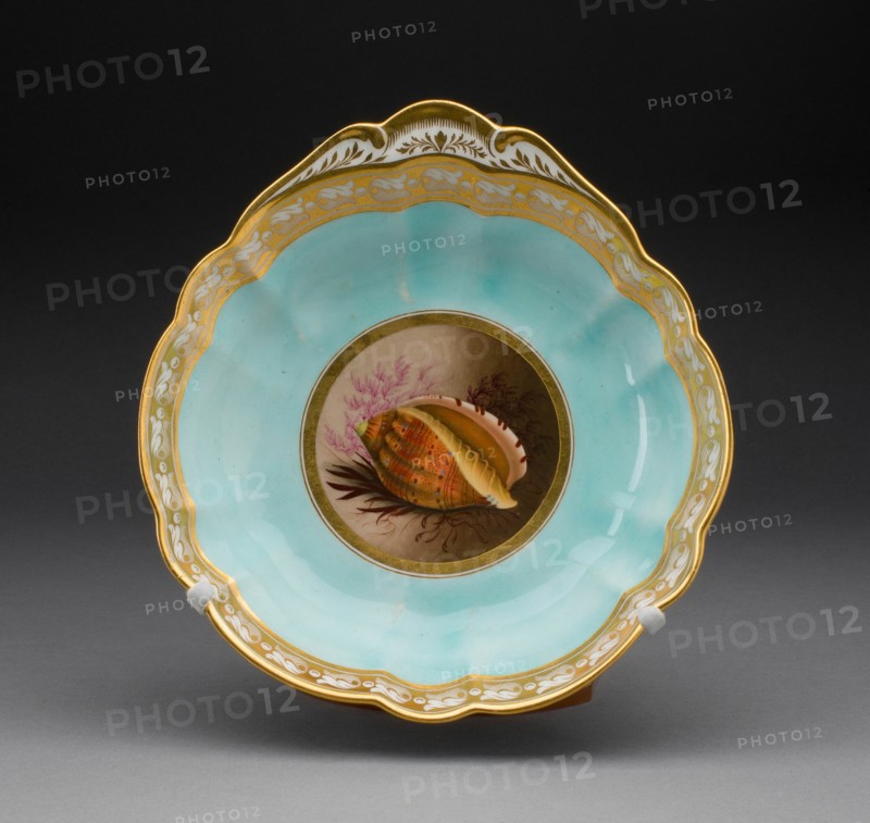 Plate, Worcester, 1813/19. Creator: Royal Worcester.