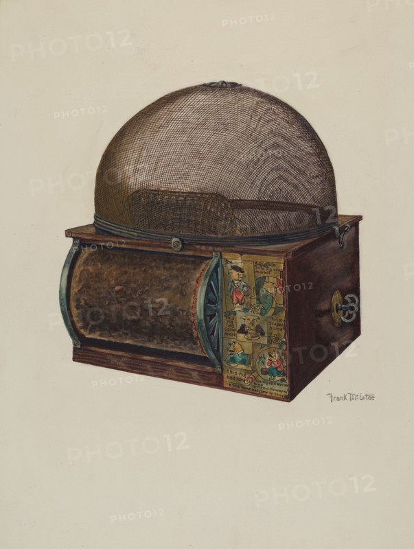 Fly Catcher, c. 1937. Creator: Frank McEntee.