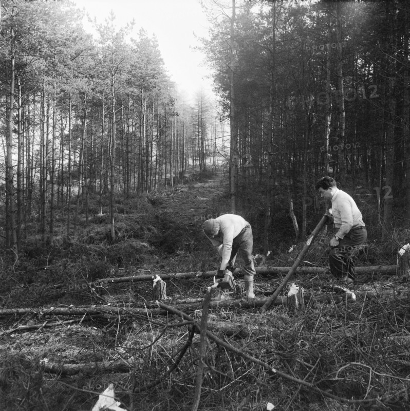 Construction of the M6 Motorway, Stafford, Staffordshire, 20/06/1961. Creator: John Laing plc.