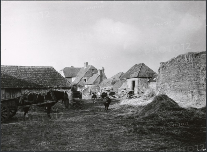 Patcham Court Farm, Vale Avenue, Patcham, City of Brighton and Hove, 1930s. Creator: J Dixon Scott.