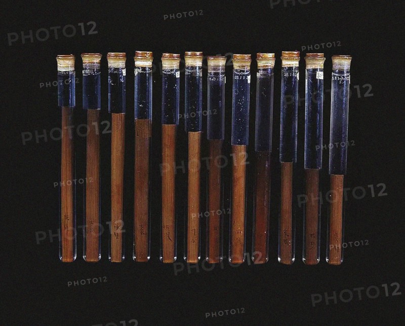 Chinese twelve-tone pitch pipes (from the tomb of Xin Zhui in Mawangdui), ca 160 BC. Creator: Anonymous master.