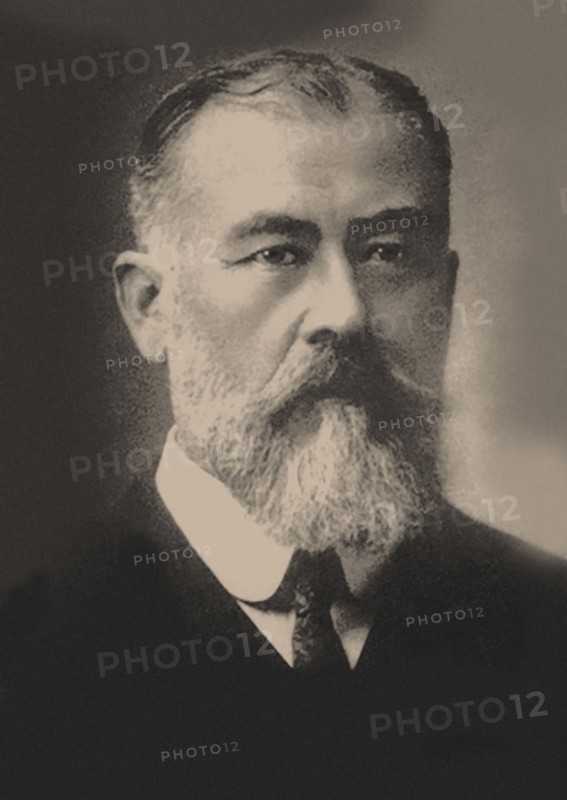 Erwin von Bälz (1849-1913). Creator: Anonymous.