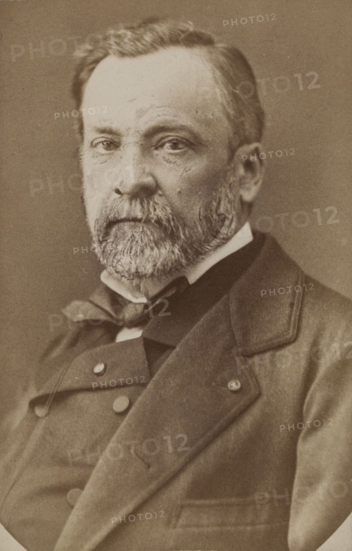 Portrait of Louis Pasteur (1822-1895), c. 1870. Creator: Anonymous.