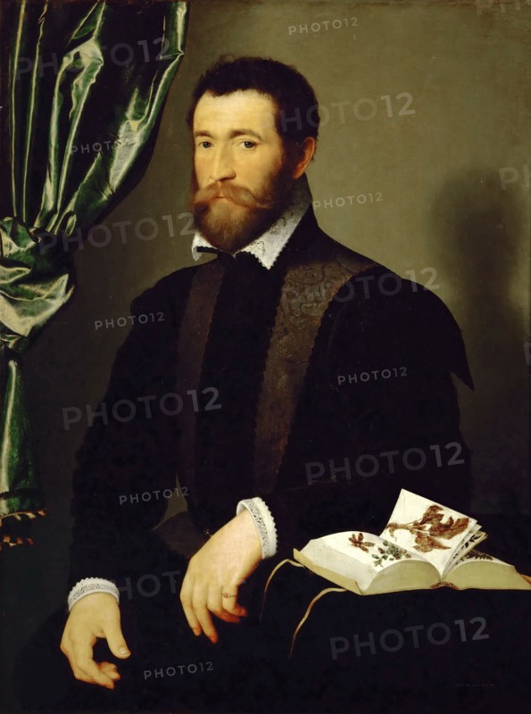 Portrait of Pierre Quthe, Apothecary, 1562. Creator: Clouet, François (1510-1572).