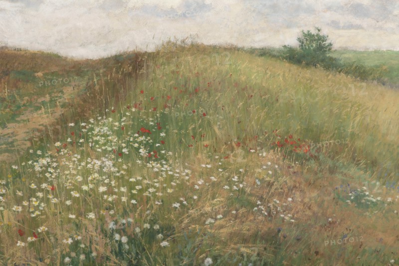 Summer, 1897. Creator: Slavicek, Antonin (1870-1910).