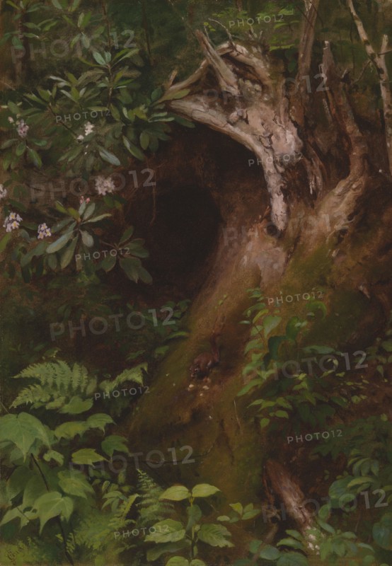 The Squirrel, 1860s/70s. Creator: Seymour Joseph Guy.