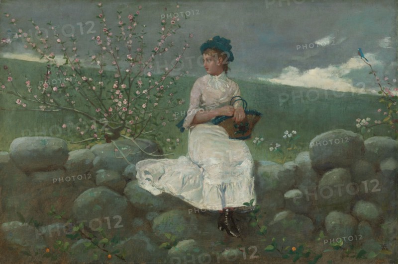 Peach Blossoms, 1878. Creator: Winslow Homer.