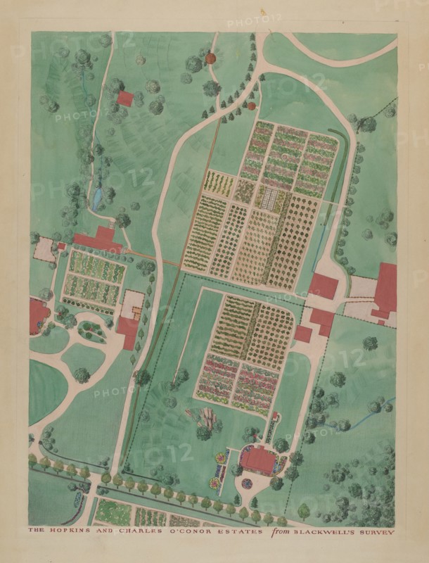 C. O'Connor and J.M. Hopkins Estate, c. 1936. Creators: Gilbert Sackerman, Helen Miller.