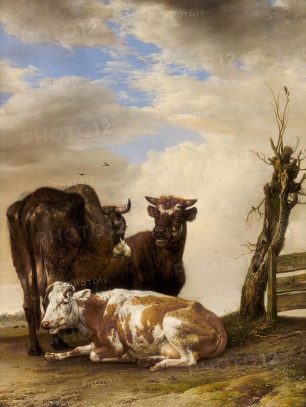Two Cows and a Young Bull beside a Fence in a Meadow, 1647. Creator: Paulus Potter.
