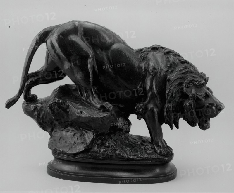 Lion, c. 1880. Creator: Rosa Bonheur.