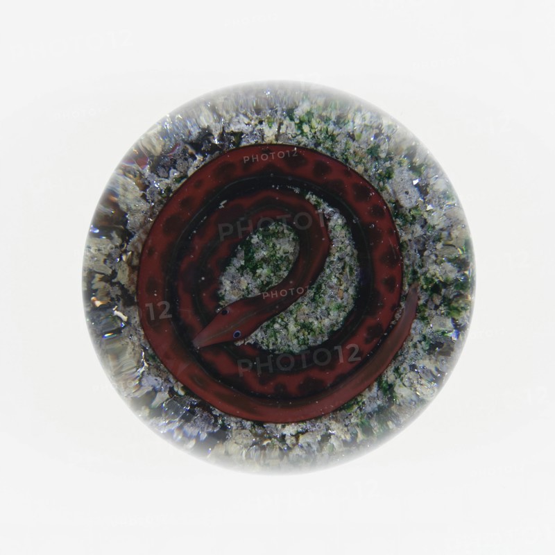 Paperweight, Baccarat, c. 1845-60. Creator: Baccarat Glasshouse.