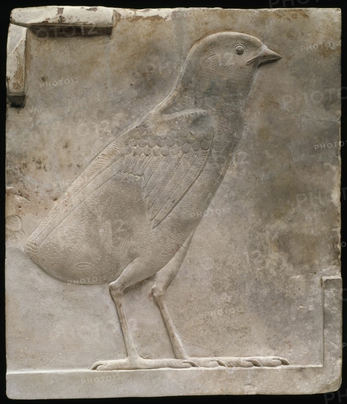 Plaque Depicting a Quail Chick, Egypt, Ptolemaic Period (332-30 BCE). Creator: Unknown.