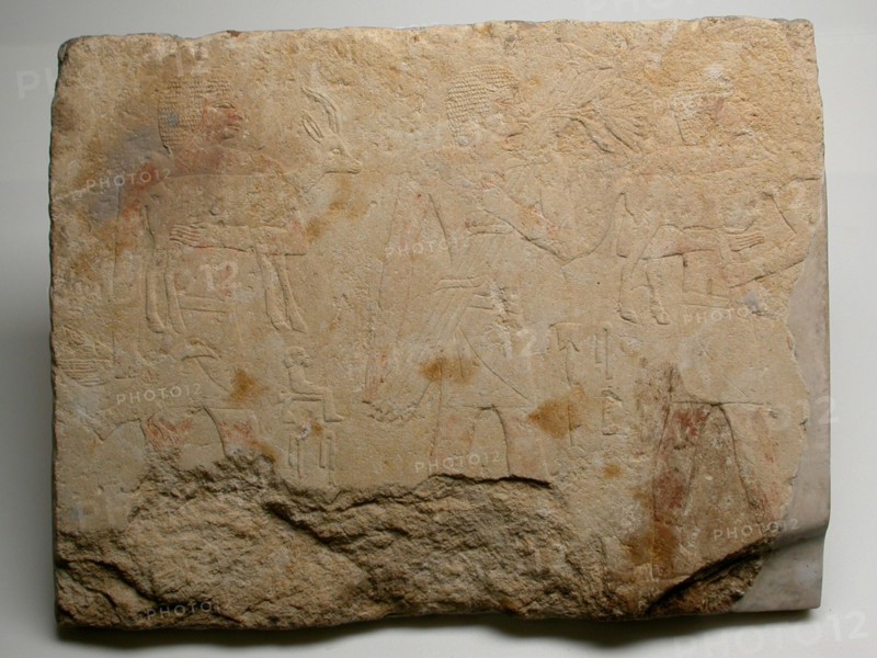 Wall Fragment from a Tomb Depicting Three Offering Bearers, Egypt, Old Kingdom, Dynasty 5... Creator: Unknown.
