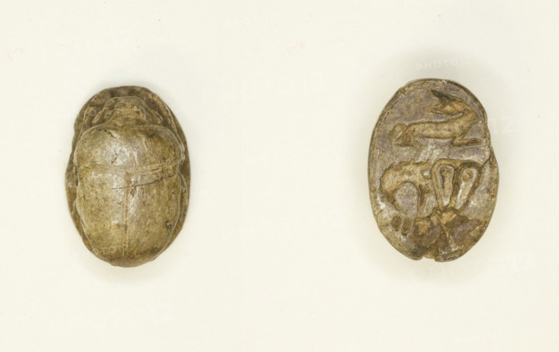 Scarab: Rabbit with Hathor Sistrum, Egypt, New Kingdom-Late Period, Dynasties 18-26 (abt 1550-525 BC Creator: Unknown.