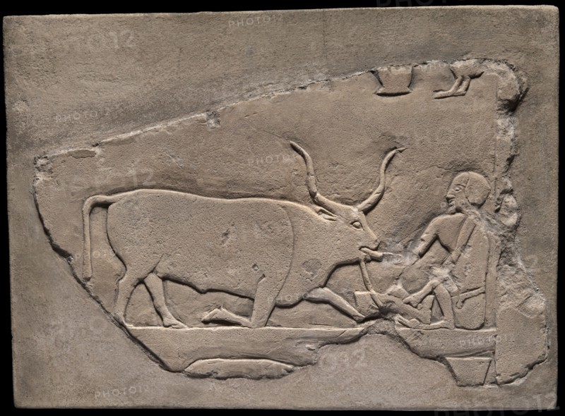 Wall Fragment from a Tomb Depicting a Herdsman, Egypt, First Intermediate Period, Dynasties 9-10... Creator: Unknown.