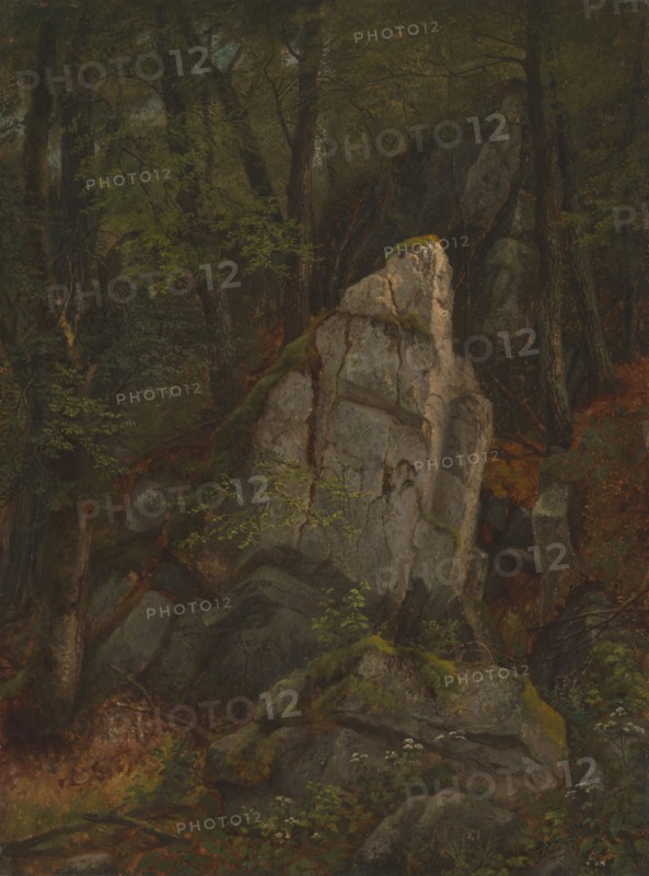 Study of Rocks in Pearson's Ravine, mid-1850s. Creator: Asher Brown Durand.