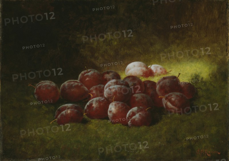 Purple Plums, 1895. Creator: Carducius Plantagenet Ream.