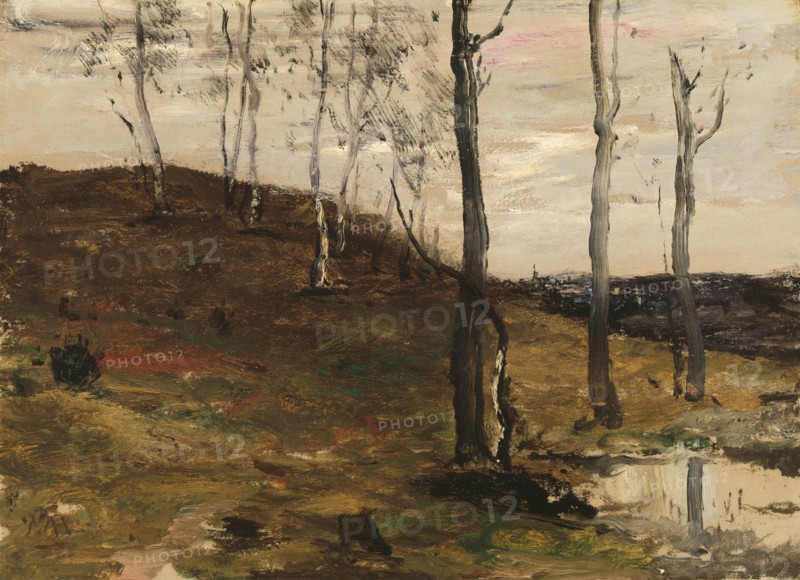 Hillside with Trees, 1872/78. Creator: William Morris Hunt.