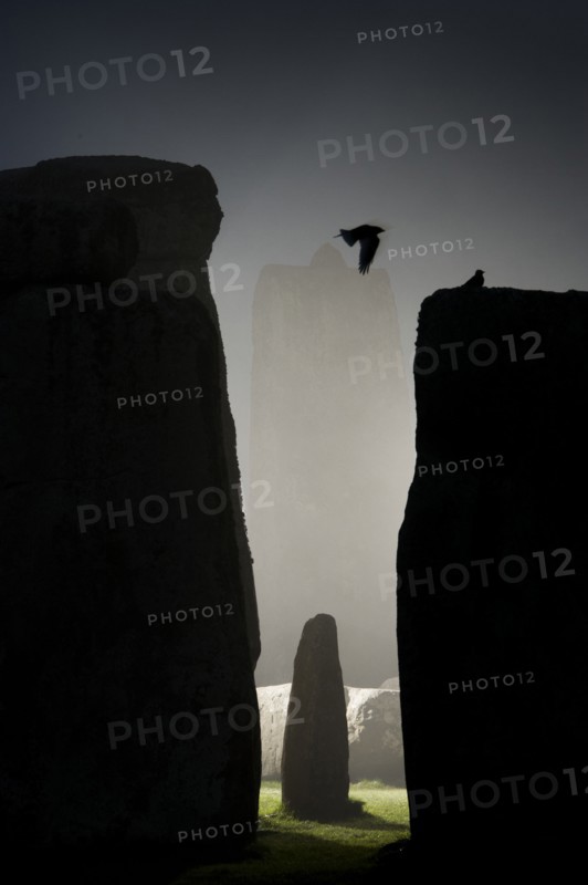 General view of Stonehenge at night, showing a Jackdaw filying between the stones, 2011. Creator: James O Davies.