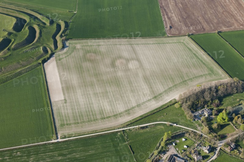 A round barrow cemetery crop mark immediately south east of Maiden Castle, Dorset, 2015. Creator: Historic England.
