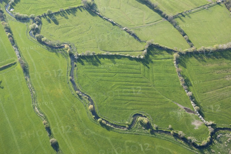 Water meadows along the River Frome, Kingston Maurward, Dorset, 2015. Creator: Historic England.