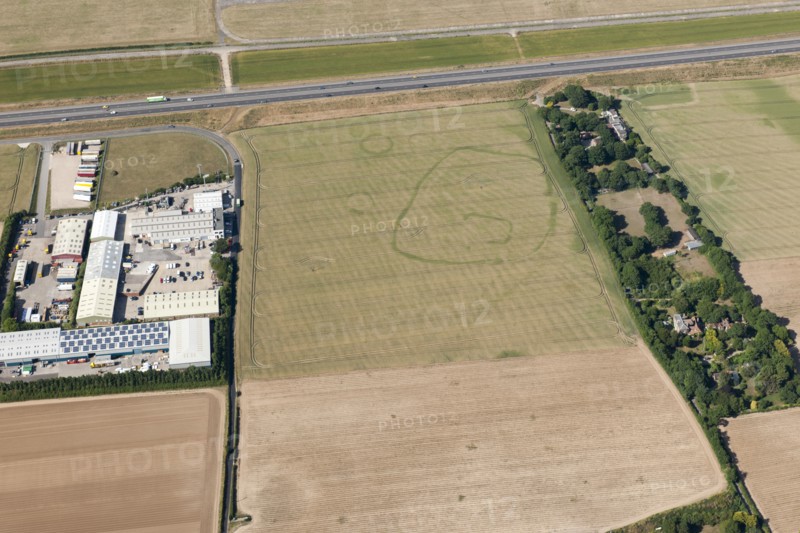 Enclosure and ring ditch crop marks near Minster, Kent, 2015. Creator: Historic England.