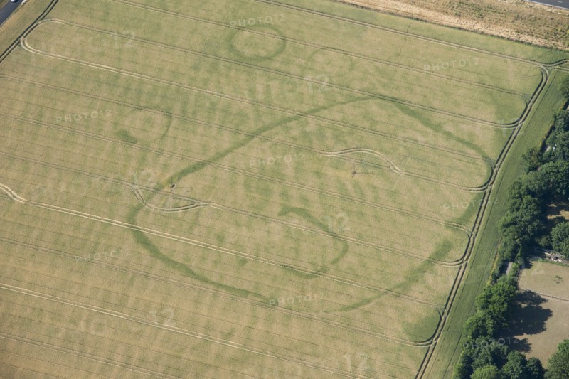 Enclosure and ring ditch crop marks near Minster, Kent, 2015. Creator: Historic England.