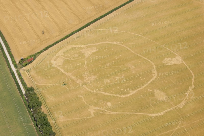 Iron Age double ditched enclosure crop mark, near South Wonston, Hampshire, 2015. Creator: Historic England.