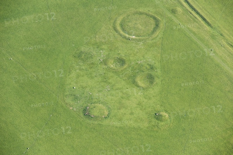 Lake Down Barrow Cemetery earthwork, Willtshire, 2017. Creator: Damian Grady.