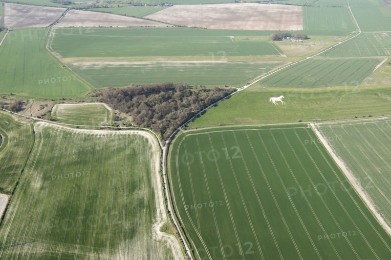 Part of the site of the 1643 Battle of Roundway Down, Wiltshire, 2018. Creator: Historic England.
