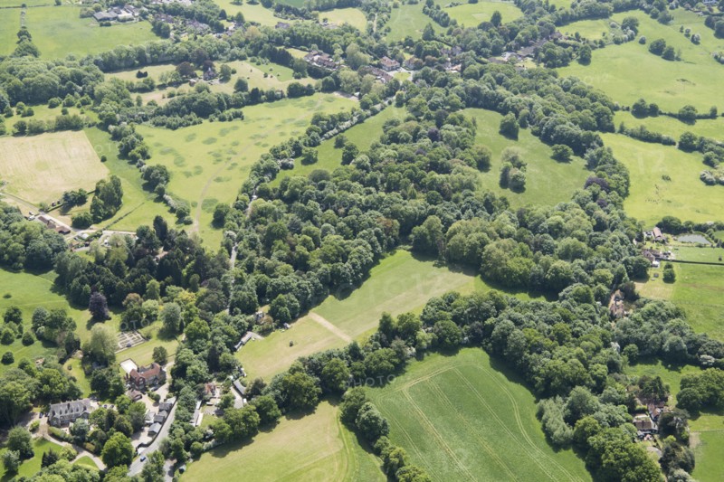 Wild gardens to Warley Place, Essex, 2018. Creator: Historic England.