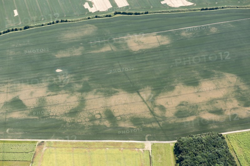 Iron Age square barrow cemetery crop mark on Haisthorpe Moor, East Riding of Yorkshire, 2018. Creator: Historic England.