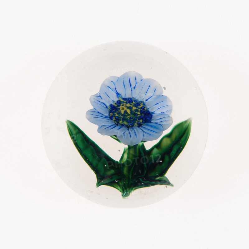 Paperweight, Clichy, 19th century.