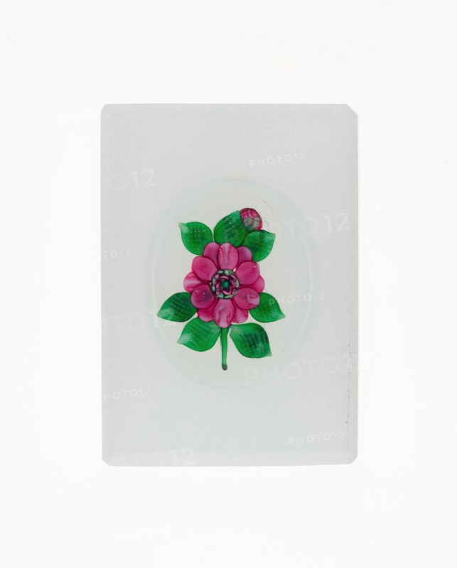Paperweight, Clichy, 19th century.