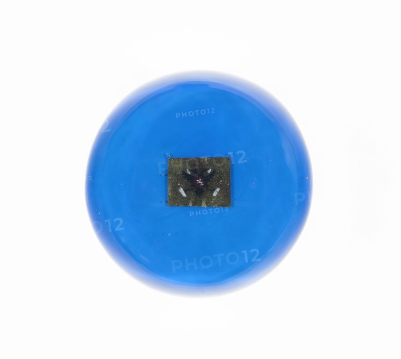 Paperweight, Clichy, Mid 19th century.