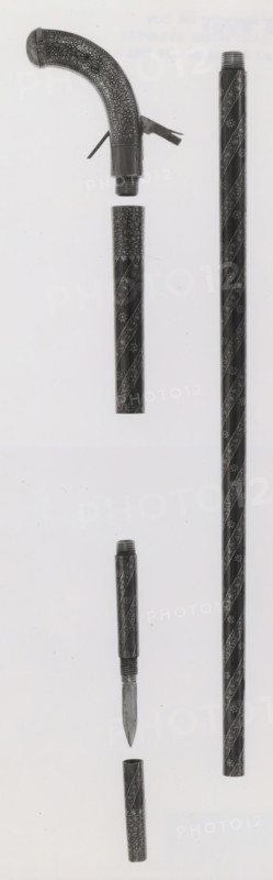 Combined Walking-Cane, Gun, Pistol, Sword, and Dagger, India subcontinent, mid-19th century.