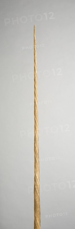 Narwhal Tusk, Northern Europe, 16th/17th century (?).