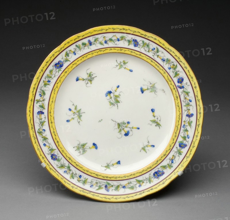 Plate, Sèvres, 1788.