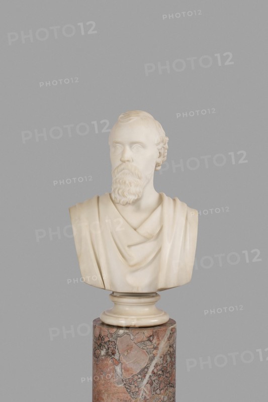 Mr. Potter Palmer, 1871.