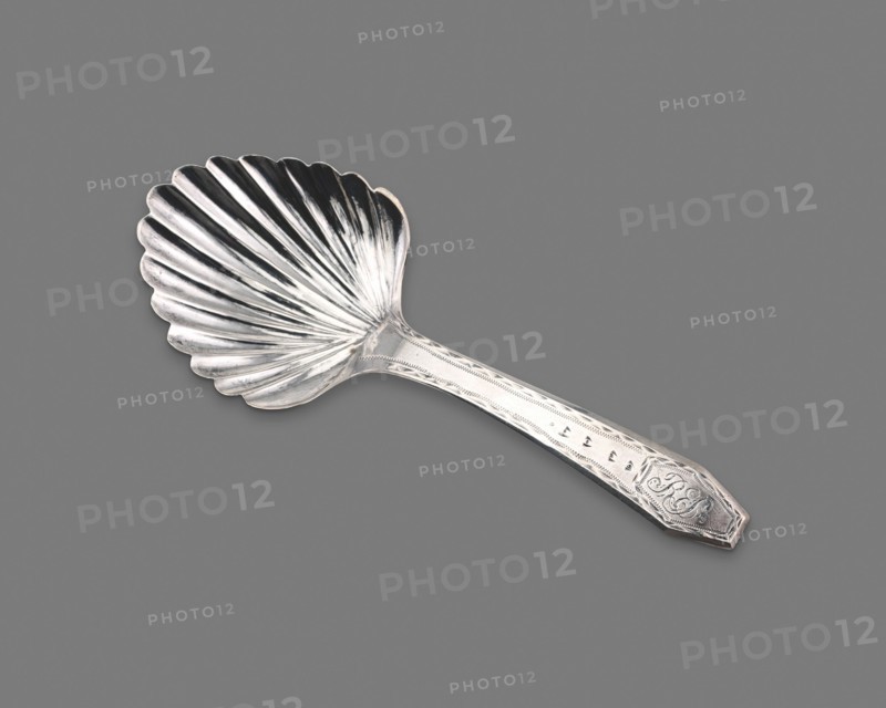 Tea Caddy Spoon, 1805/6.