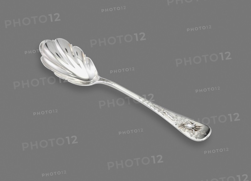 Sugar Spoon, 1870/75.