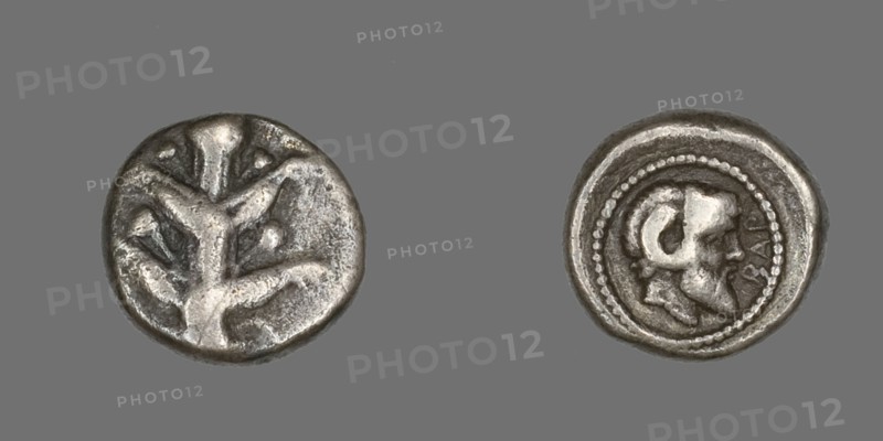 Coin Depicting Silphium Plant, 480-435 BCE.