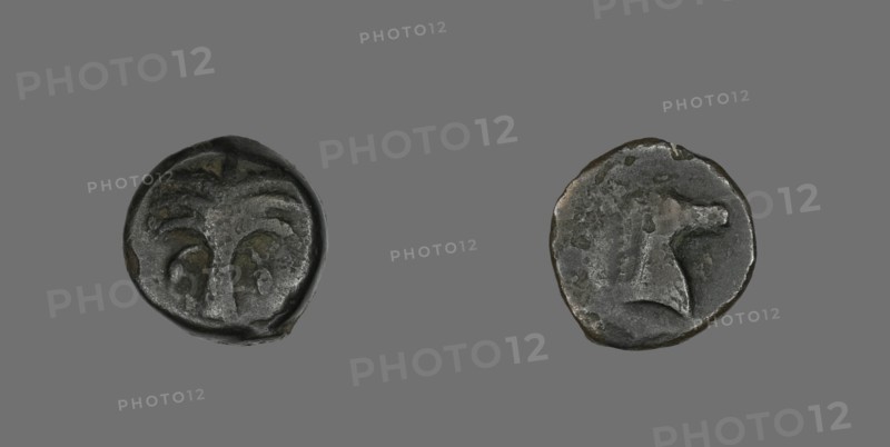 Coin Depicting a Date Palm Tree, 410-146 BCE.