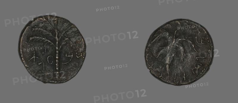 Coin Depicting a Palm Tree, 133-135.