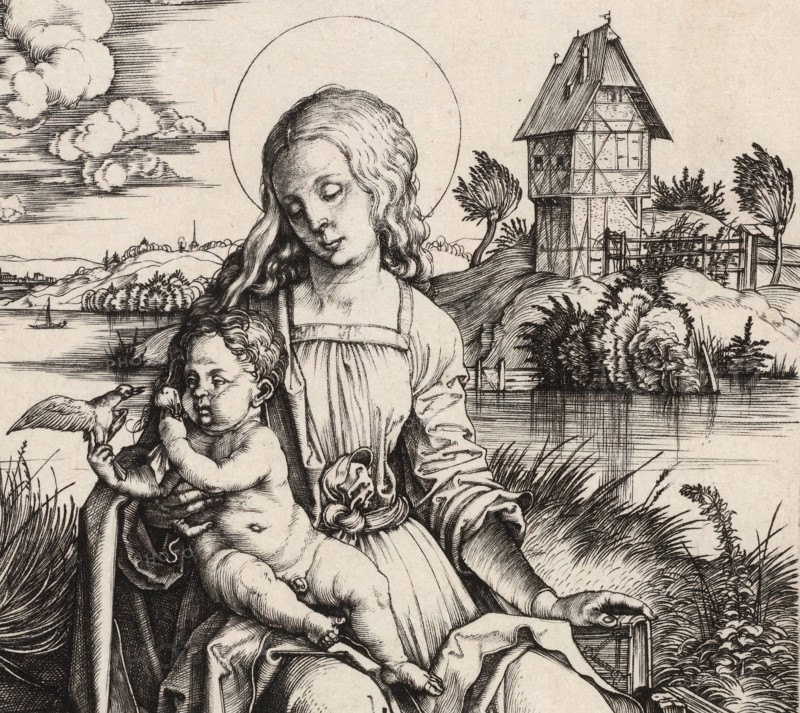 The Virgin and Child with the Monkey, c. 1498. Detail from a larger artwork.