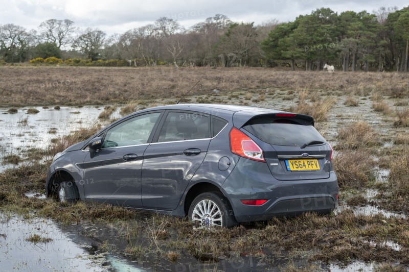 Ford Fiesta accident in New Forest, 2020.
